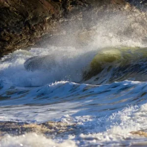 Fragranza wave oanda