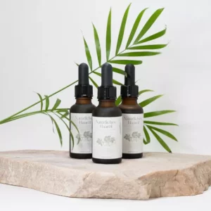 Fragranza di olio di rosmarino Ricordi Olfattivi