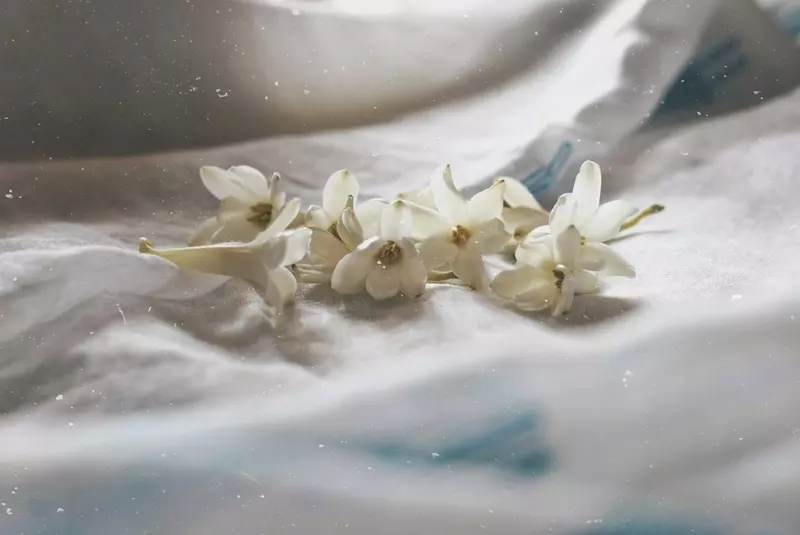 Fragranza Tuberose Ricordi Olfattivi