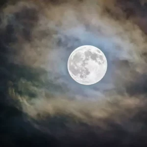 Fragranza Luna Ricordi Olfattivi