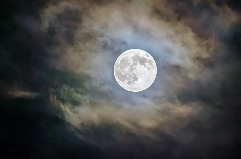 Fragranza Luna Ricordi Olfattivi