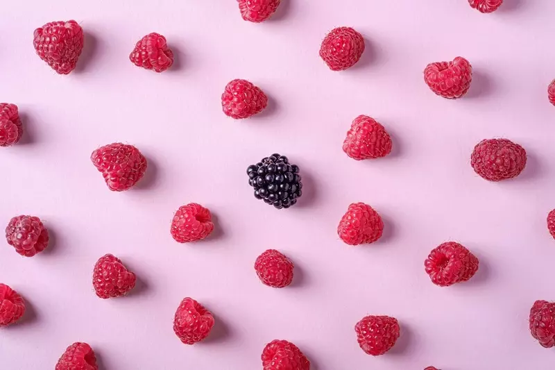 Fragranza Sensazione Frutti di Bosco Ricordi Olfattivi